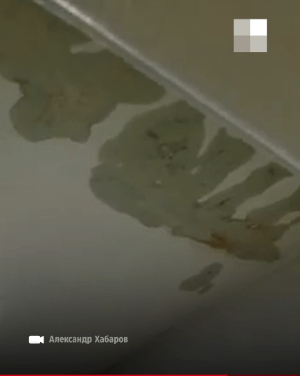 Подтеки на потолке в Урюпинской ЦРБ. Августа 2021 года. Стоп-кадр видео https://v1.ru/text/gorod/2021/08/15/70079873/