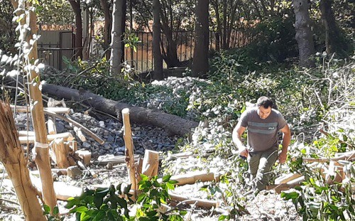 Вырубка парка в Сочи. Фото Светланы Кравченко для "Кавказского узла"