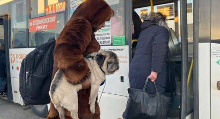 Беженцы из Донбасса в Ростовской области. Фото: ГУ МЧС РФ по Ростовской области
