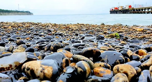 Нефть на пляже. Фото предоставлено автором блога "Жизнь на море"