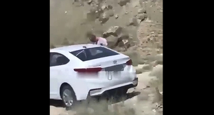 Турист пытается уединиться с женщиной в горах Дагестана, извиняется перед жителями республики. Кадр видео https://vk.com/wall-91185437_1764502?z=video-91185437_456262757%2F1aed310c0d0dffc7e0%2Fpl_post_-91185437_1764502