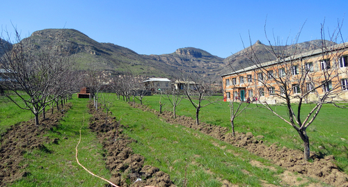 Сельскохозяйственные земли. Нагорный Карабах. Фото Алвард Григорян для "Кавказского узла"