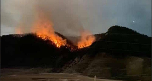 Лесной пожар рядом с селом Куппа, фото: стоп-кадр видео https://t.me/chernovik/47497