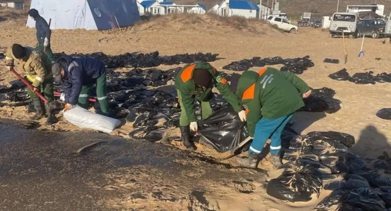 Территорию очищают при участии волонтеров. 20 декабря 2024 года. Фото: министерство природы Краснодарского края / T.me