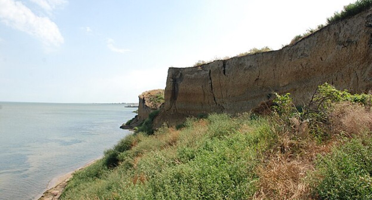 Тамано-Запорожский заказник. Фото: Weldis https://ru.wikipedia.org