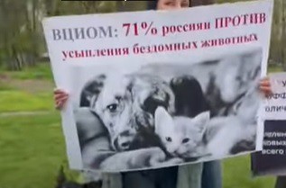 Пикет зоозащитников в Краснодаре. Скриншот видео "Кавказского узла" https://www.youtube.com/shorts/DVNEUsp2QJ0