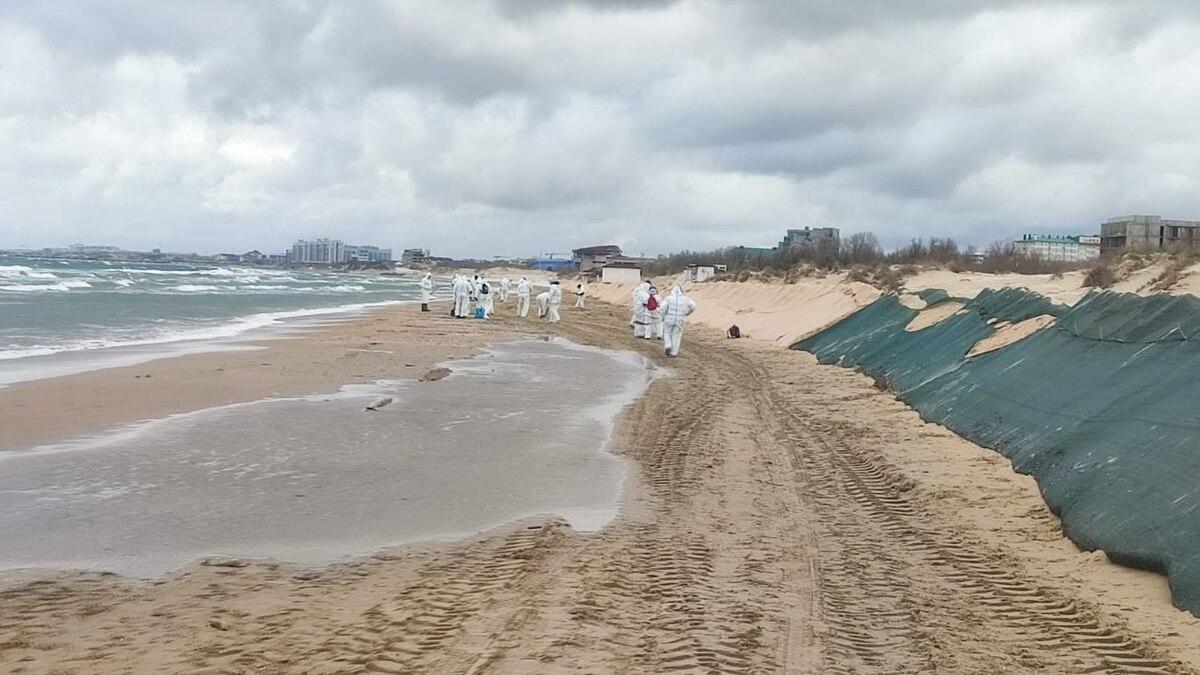 Уборка пляжей Анапы от мазута. Фото t.me/opershtab23