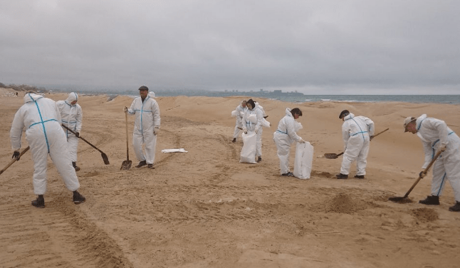 Уборка мазута на пляже в Джемете. Скриншот фото оперштаба Краснодарского края от 26.04.25, https://t.me/opershtab23/13352?single.