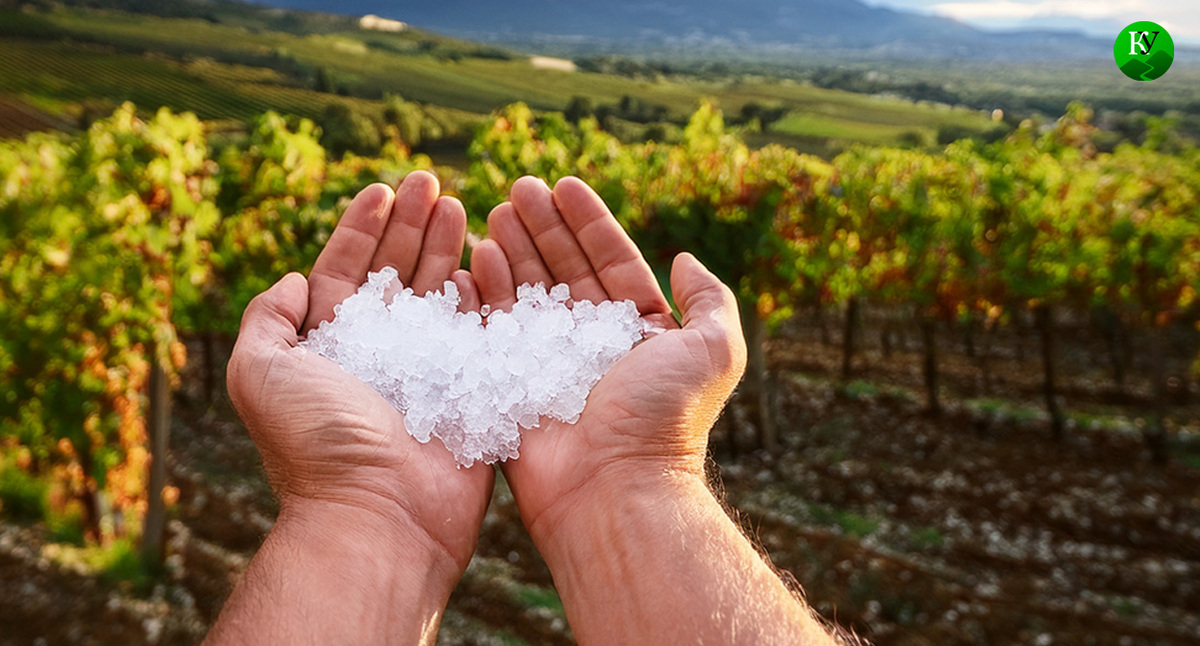 Град. Иллюстрация создана "Кавказским узлом" с помощью ИИ в программе Photoshop