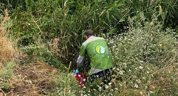 Специалисты отбирают пробы для лабораторных исследований. 15 июля 2025 г. Фото: https://t.me/mprdag2020/5295