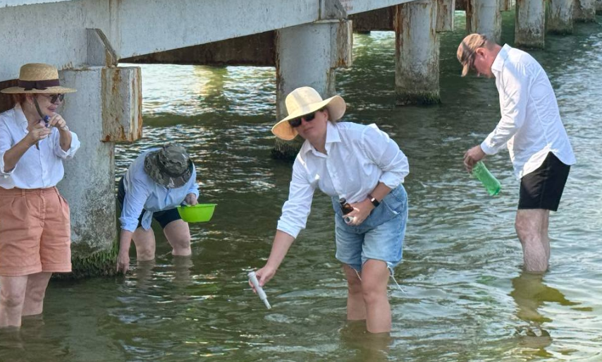 Ученые берут пробы в зоне разлива мазута. Скриншот фото субтропического центра РАН от 08.08.25, https://subtropras.ru/2025/08/исследования-учёных-установили-улуч-2/