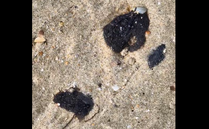 Капли мазута появились в Анапе после шторма. Стоп-кадр видео из Telegram-канала "Маковозовы" от 24.08.25, https://t.me/makovozovy/43318