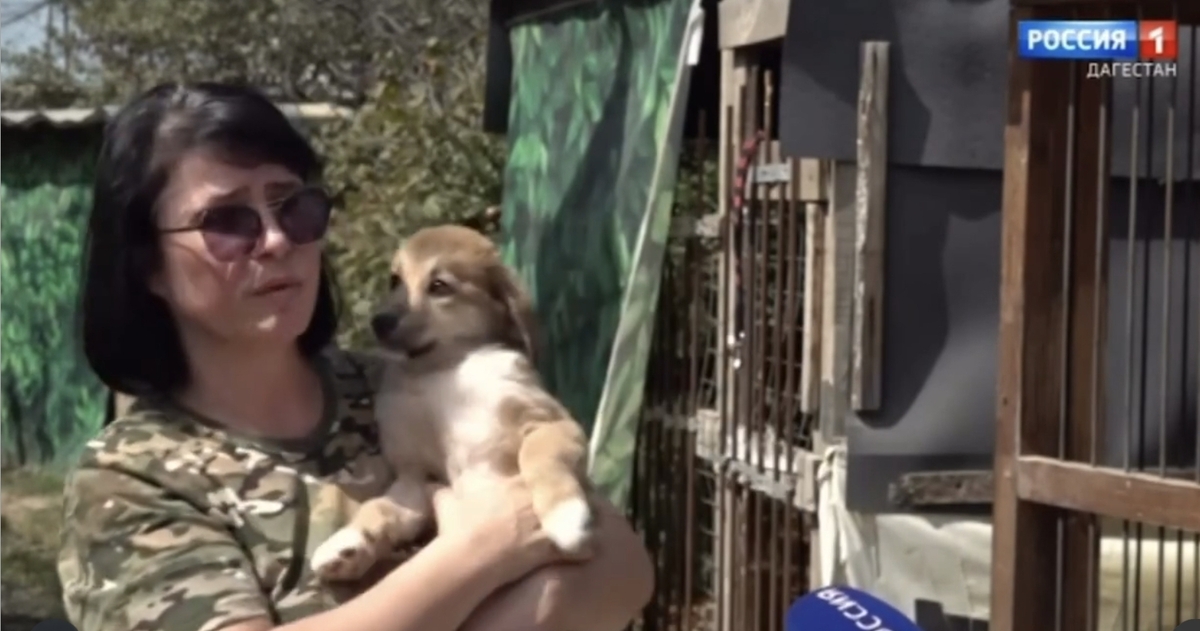 Ирина Карпова с щенком Дафной на руках. Кадр видеосюжета телеканала "Россия Дагестан".