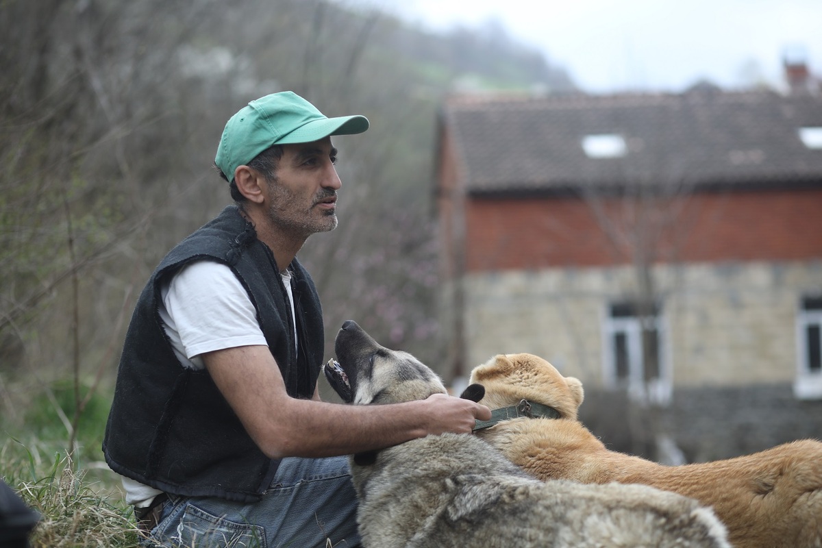 Эльхан Мирзоев. Фото: https://www.meydan.tv/ru/article/kak-zhivetsya-brodyachim-sobakam-v-azerbajdzhane/