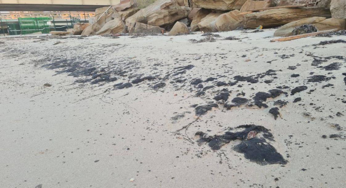 Мазутные пятна в Тамани. Скриншот фото штаба "Дельфины" от 08.10.25, https://t.me/shtab_delfin/1271.