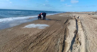 Пляж в Анапе. Фото: https://t.me/opershtab23/14901