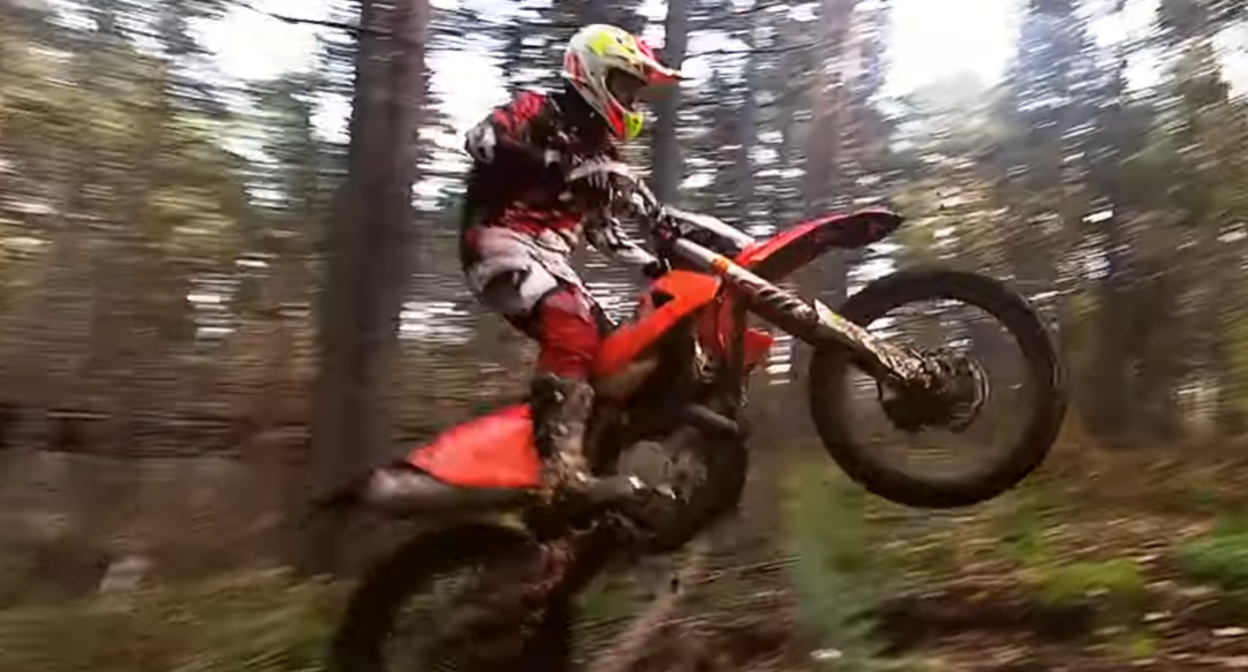 "Эндурист" в лесу. Стоп-кадр из YouTube-канала "Серый инженер" https://www.youtube.com/watch?v=SQVjjNg3So8