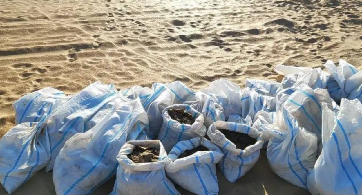 Собранные мешки с мазутом. Скриншот фото "Добровольцы ССЛ" от 14.03.26, https://t.me/setisitolopata/2695