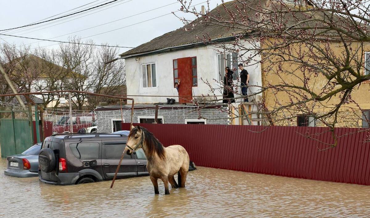 Наводнение в Дагестане. Фото: Правительство Дагестана / Telegram Наводнение в Дагестане. Фото: Правительство Дагестана / Telegram