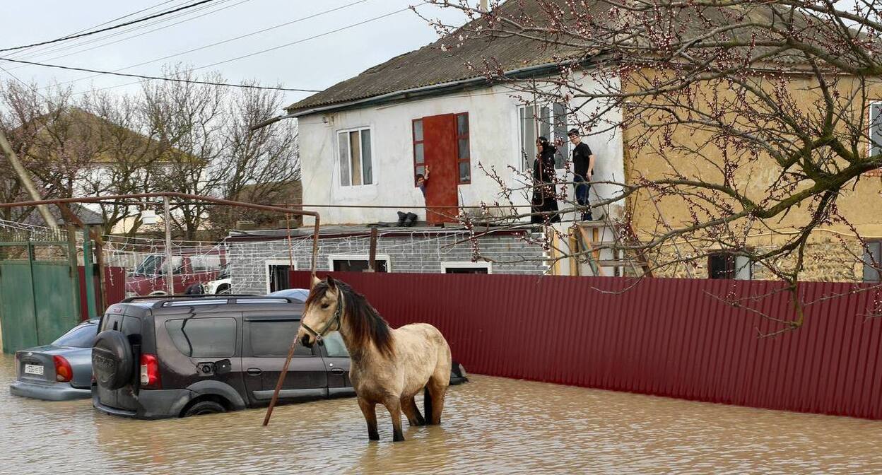 Наводнение в Дагестане. Фото: Правительство Дагестана / Telegram