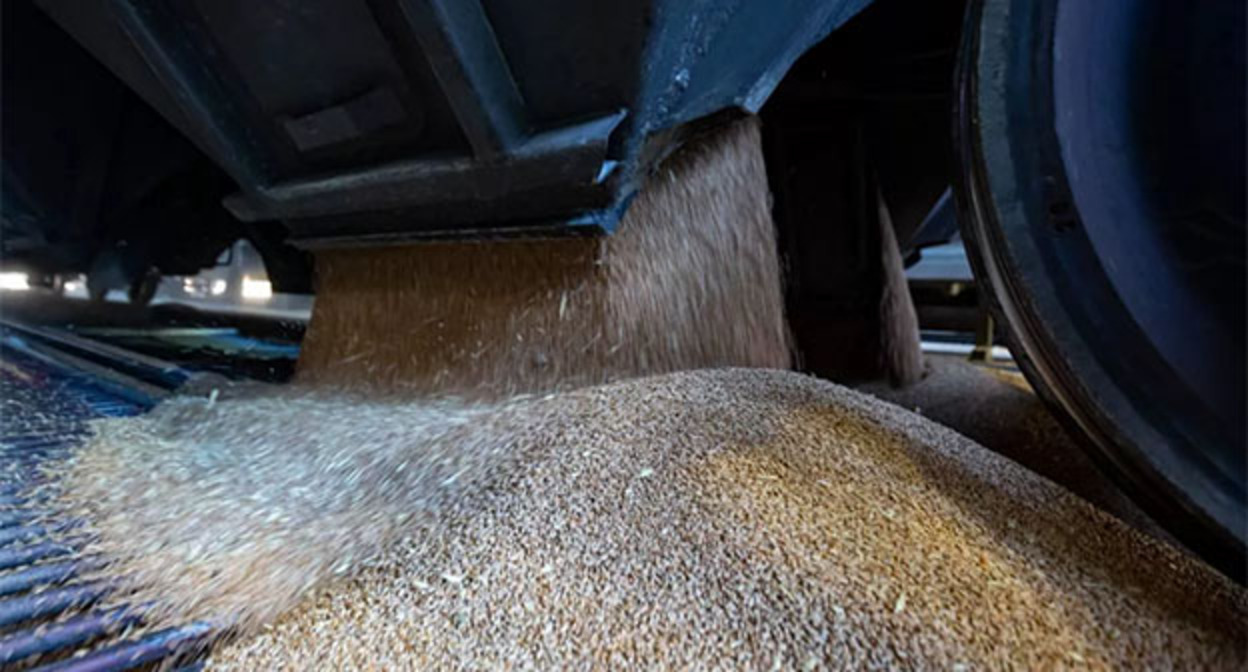 Зерно. Фото: Минтранс России