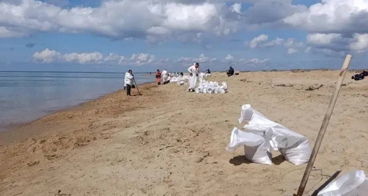 Обстановка на пляже Тортуга вв Витязево. Скриншот фото оперштаба Краснодарского края от 12.04.26, https://t.me/opershtab23/15684. Обстановка на пляже Тортуга вв Витязево. Скриншот фото оперштаба Краснодарского края от 12.04.26, https://t.me/opershtab23/15684.