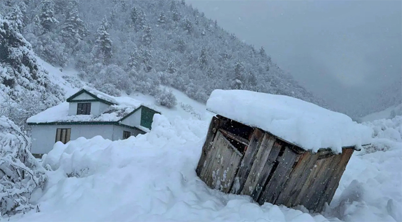 Сход лавины в Цумадинском районе. Фото: Прокуратура Москвы Сход лавины в Цумадинском районе. Фото: Прокуратура Москвы