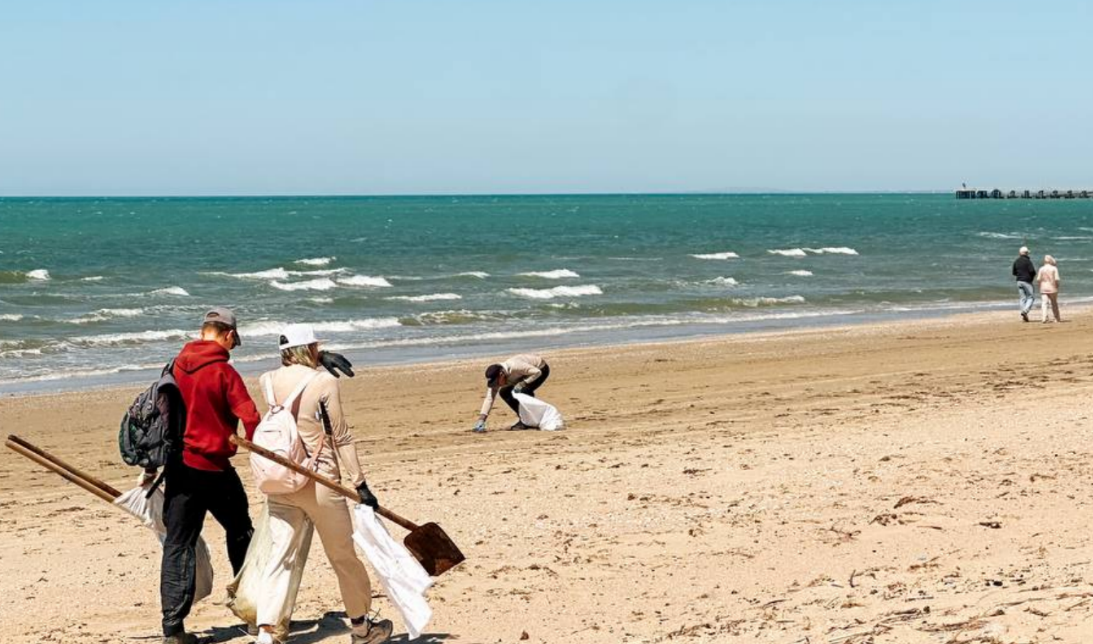 Уборка пляжа в Анапе. Скриншот фото "Добровольцы ССЛ" от 26.04.26, https://t.me/setisitolopata/2897.