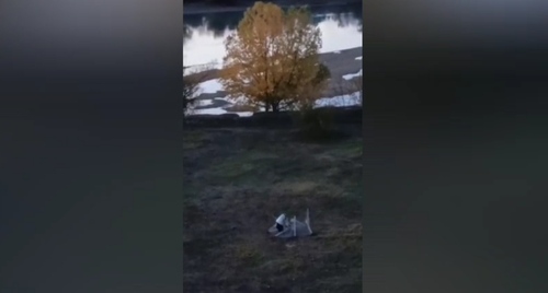 Кадр видео из телеграм-канала "Дуб Хранитель ЮМР" https://t.me/dub_UMR/1282