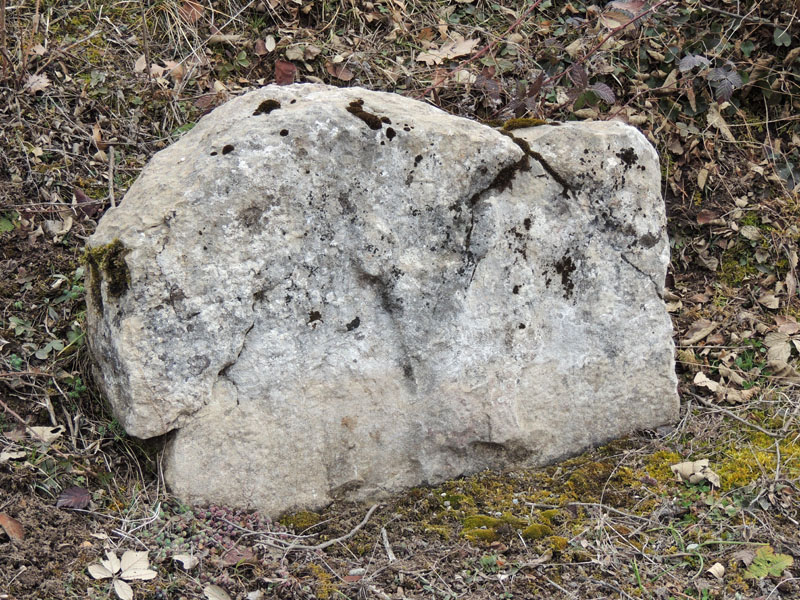 Это тоже находится там же. Это тоже находится там же.