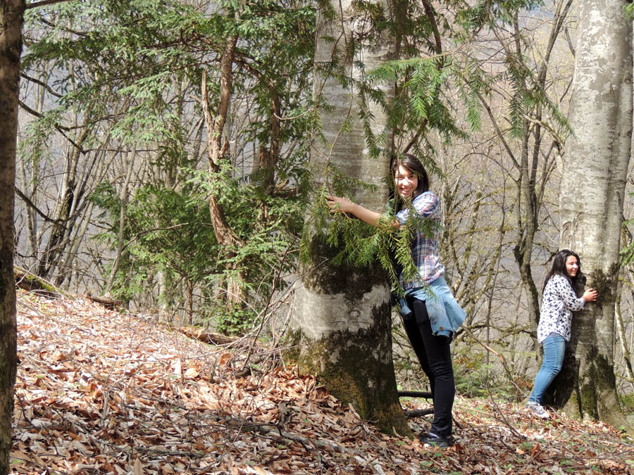 На привале. Девочки делятся своим сокровенным... На привале. Девочки делятся своим сокровенным...