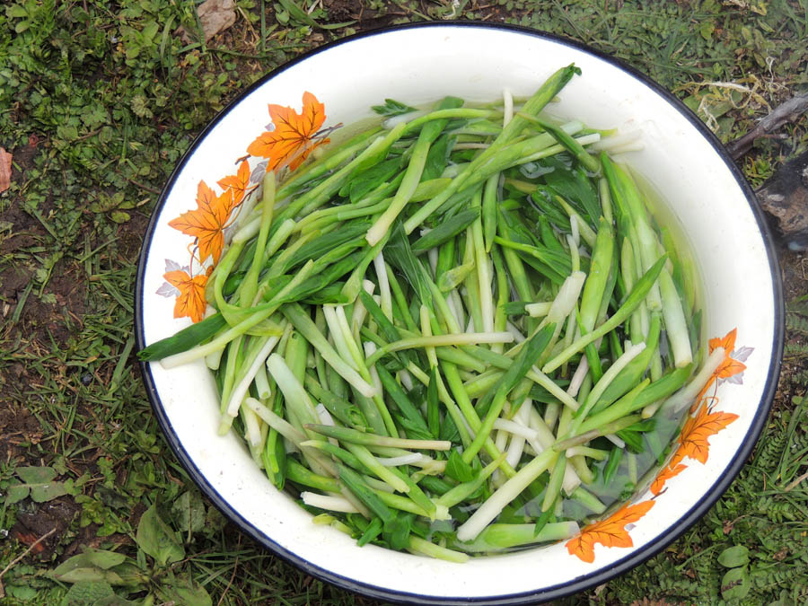 Вот это тот самый кырмызюк, уже готовый к употреблению. Посолив его и съев, чувствуешь прилив сил и энергии... Вот это тот самый кырмызюк, уже готовый к употреблению. Посолив его и съев, чувствуешь прилив сил и энергии...