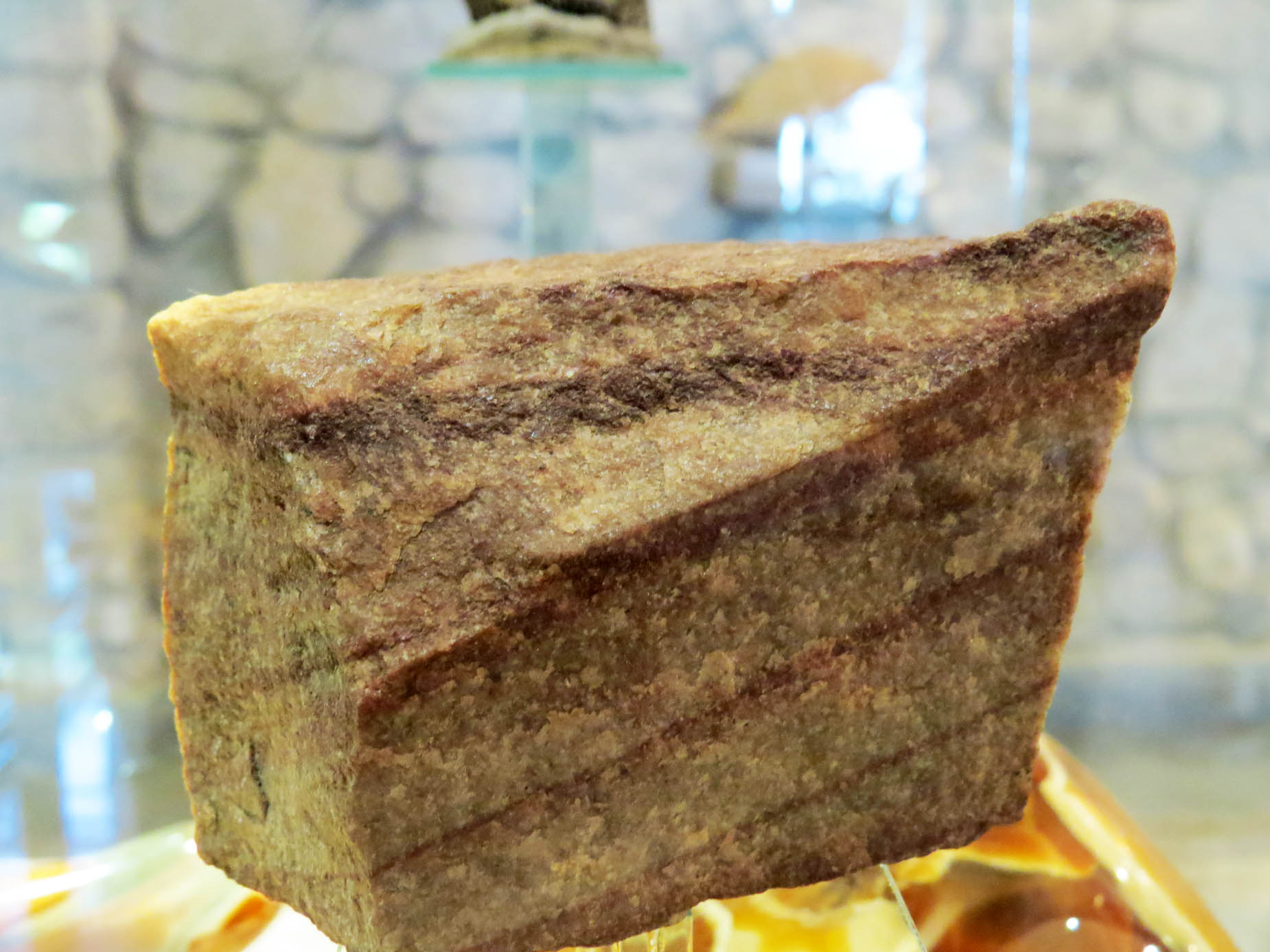 Матаморфизированный сланец. Ему 1 млр. 200 лет, с Кольского полуострова.