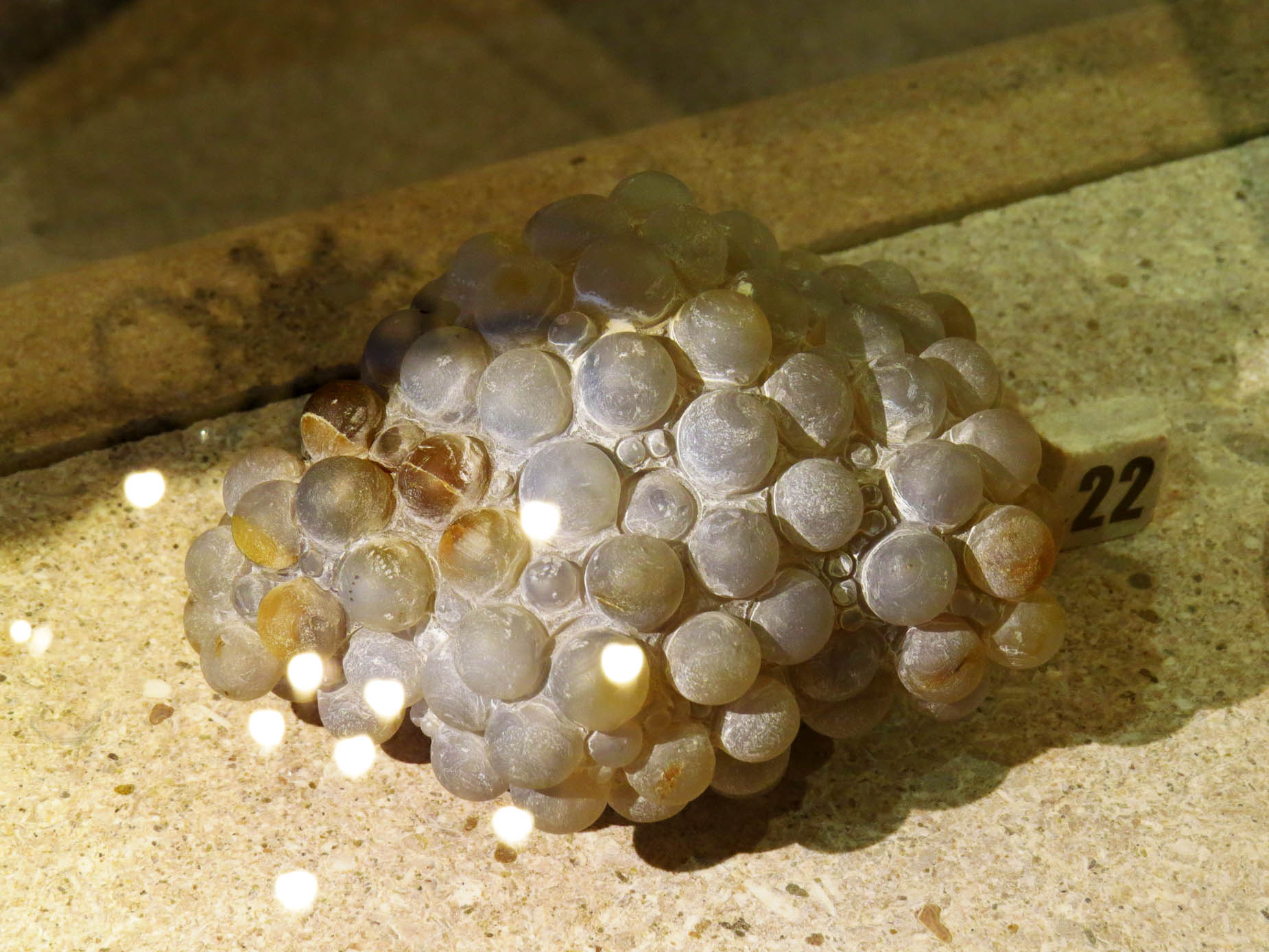 Разновидность кварца, называется Халцедоном. Разновидность Халцедона - Агат. Агат, похожий на гроздь винограда.