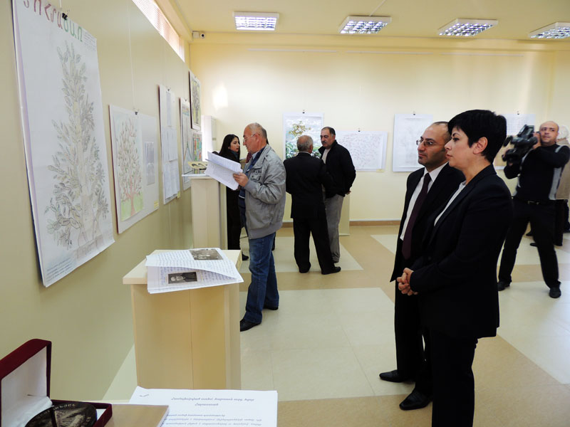 Нарине Агабалян задержалась у интересного Древа рода. Нарине Агабалян задержалась у интересного Древа рода.