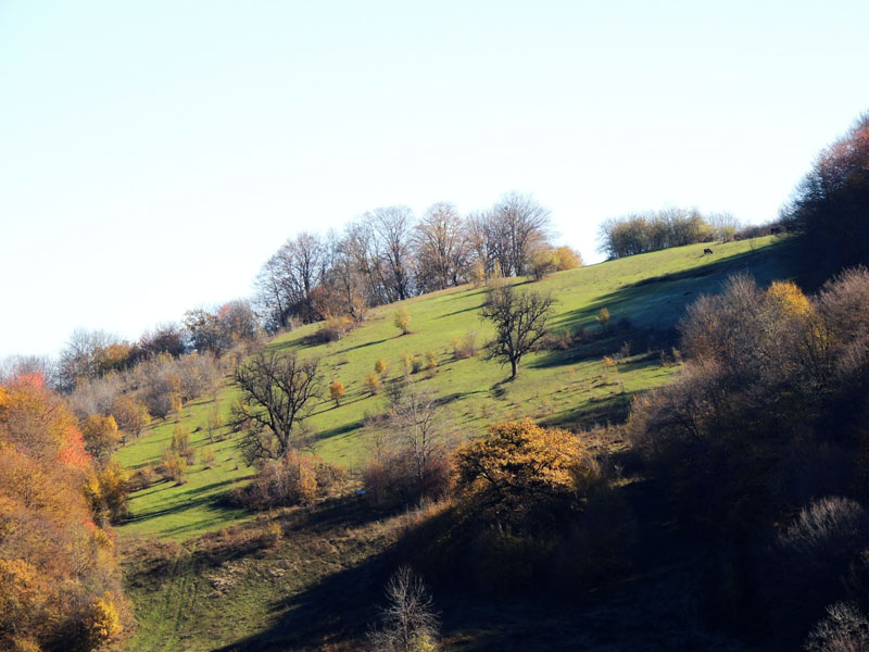 Полянка на склоне горы. Полянка на склоне горы.