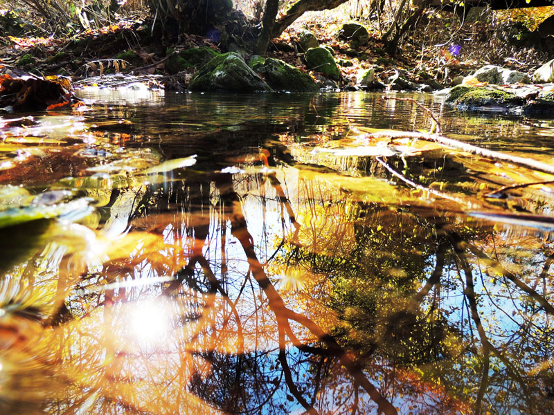 Отражения в "цветной" воде. Отражения в "цветной" воде.