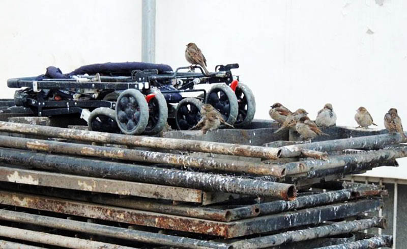 Фото сделано в Степанакерте, в январе 2014 года.