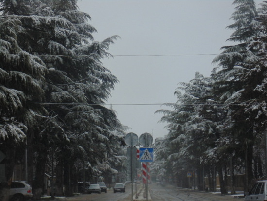 Парпаты уынг