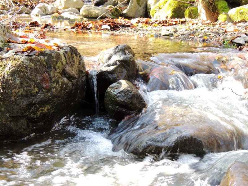 Ты можешь быть мягкой и жестокой... Ты можешь быть мягкой и жестокой...