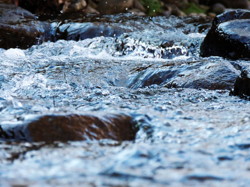 Ты можешь быть мягкой и жестокой...