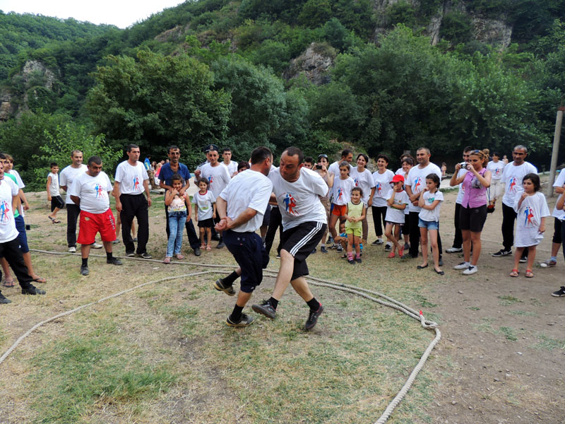 Петушинные бои. Петушинные бои.