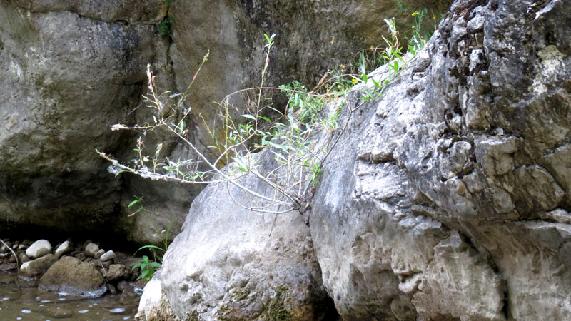 Зарисовка 9. Зарисовка 9.