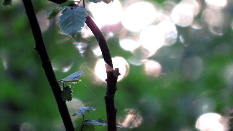 Зарисовка 15. Зарисовка 15.