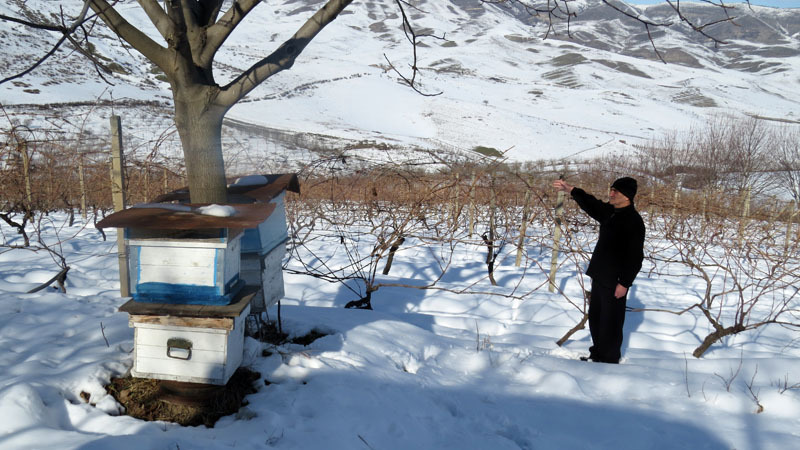На прощание Ярослав с гордостью показал нам свой виноградник, рассказал о садах ...