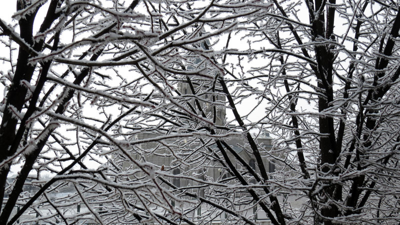Сквозь ветки дерева видна церковь Казанчецоц.