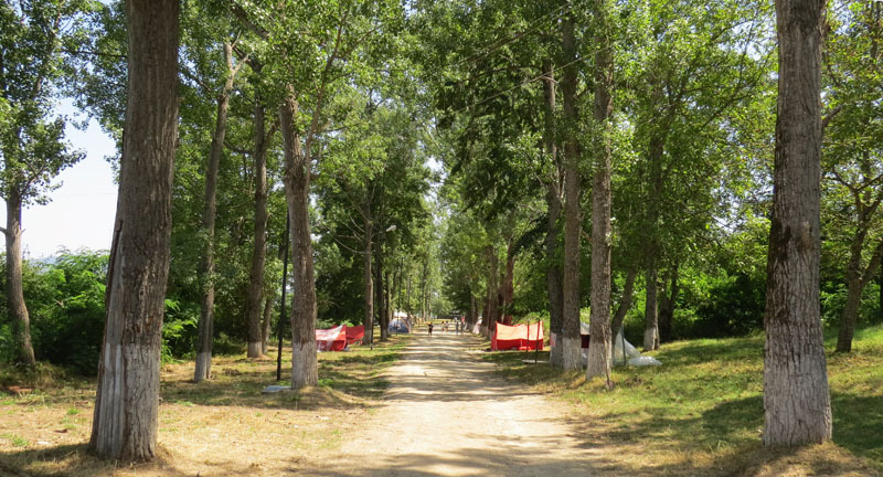 После чего мне сёстры мне разрешили въехать на территорию лагеря. После чего мне сёстры мне разрешили въехать на территорию лагеря.