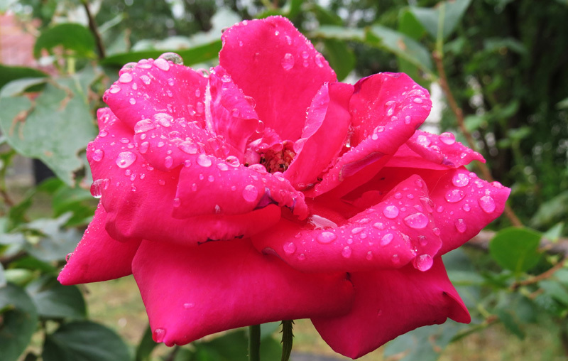 Зарисовка 13. Зарисовка 13.