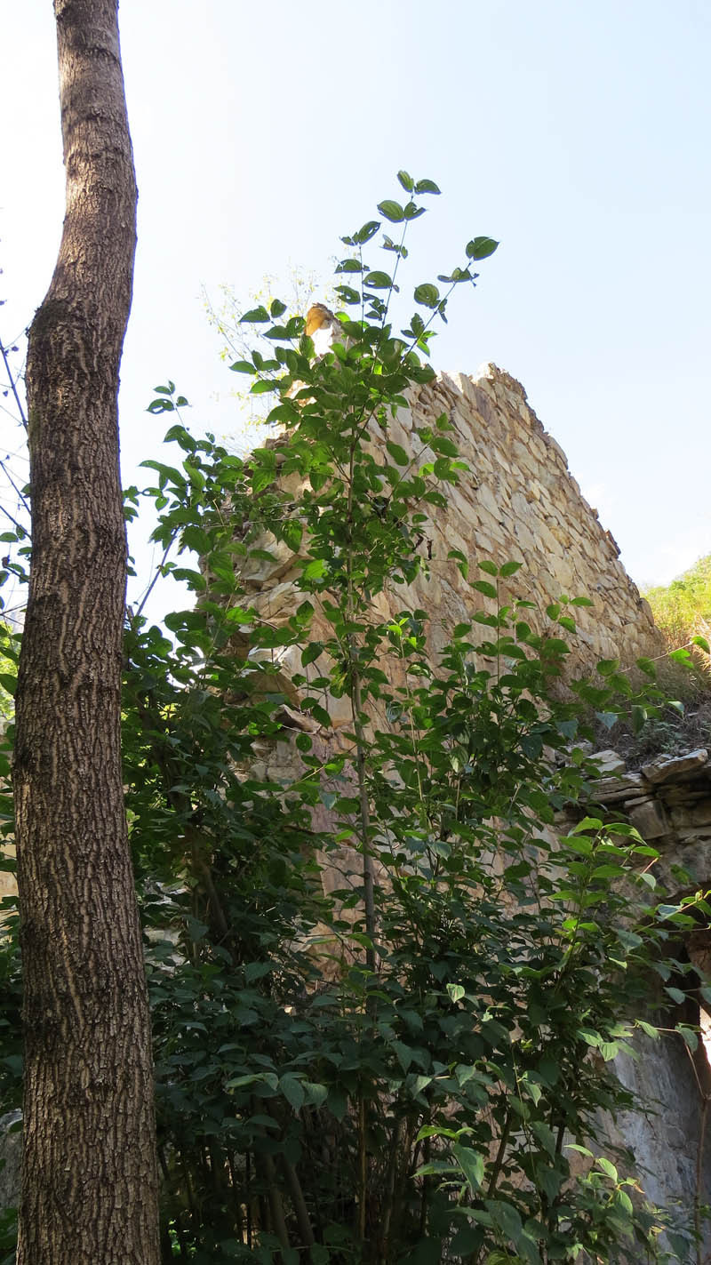 Монастырь Пресвятой Богородицы (12-13 вв.). Монастырь Пресвятой Богородицы (12-13 вв.).