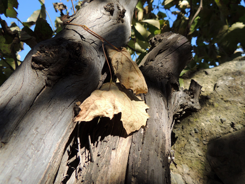 Зарисовка 11. Зарисовка 11.